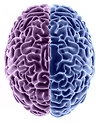 Organisation logo